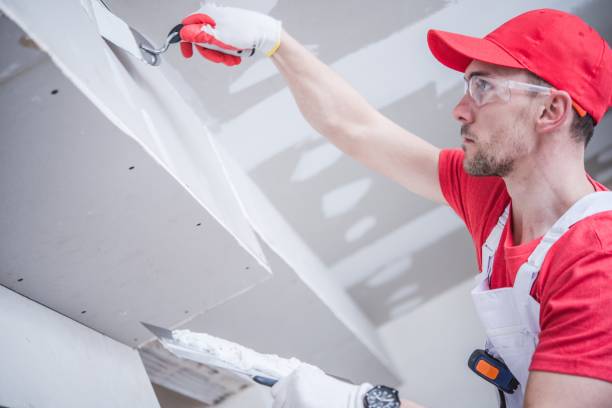 Best Drywall Removal and Disposal  in Brownsville, PA